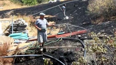 MUĞLA - Bodrum'da yerleşim yeri yakınındaki zeytinlik ve makilik alanda çıkan yangın söndürüldü