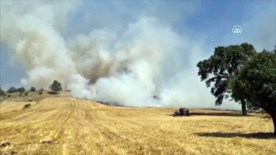 aniz yangini - OSMANİYE - Anız yangını ormanlık alana sıçramadan söndürüldü Videosu