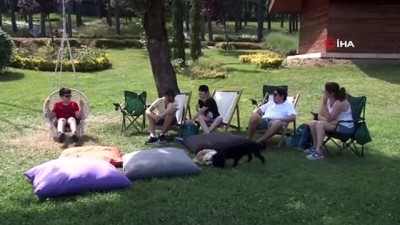 begendik -  Pet Festivali'ne hayvanseverlerden büyük ilgi Videosu
