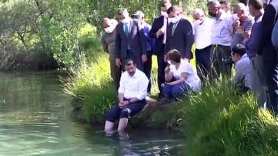 saglik turizmi - SİVAS - 'Doktor balıklar' Kalkım Kaplıcaları'nda da şifa dağıtacak Videosu