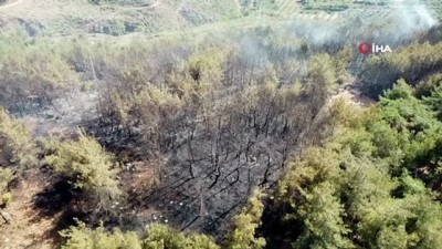 yangin -  Osmaniye’de orman yangını Videosu