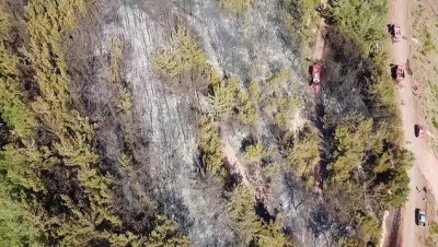 ormanli - OSMANİYE - (DRONE) Orman yangını kontrol altına alındı Videosu