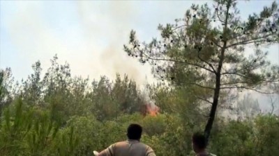 yangin - OSMANİYE - Orman yangınına müdahale ediliyor Videosu
