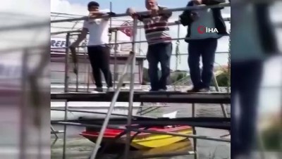 yat limani -  Balık yemeğe çalışan yılanı izleyen vatandaşların diyalogları gülümsetti Videosu