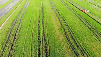 su -  Edirne’de yağışlar çiftçinin yüzünü güldürdü Videosu