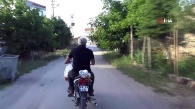 sokak kopegi -  Kahveci esnafından alkışlanacak hareket Videosu