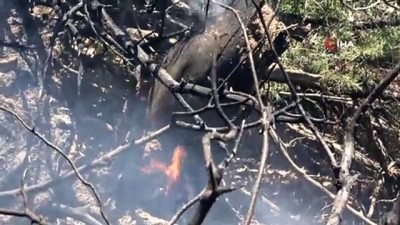 ormanli -  Orman yangınına havadan ve karadan müdahale sürüyor, yüzde 70 oranında kontrol altına alındı Videosu