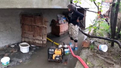 su -  Sel sularında ölen yavrusunun başından ayrılmadı Videosu