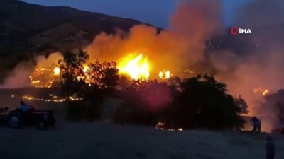 zeytinli -  İzmir’de zeytinlik alanda çıkan yangın söndürüldü Videosu