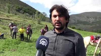 dera - BAYBURT - Bayburtlu ciritçiler, safari ve dostluk müsabakalarıyla atlarını formda tutuyor Videosu