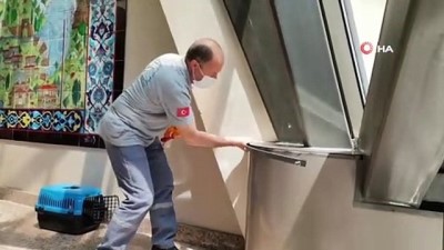 yagmur suyu -  Bursa’da yavru karga su oluğundan böyle kurtarıldı Videosu