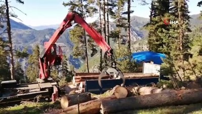 koy yollari -  Ekmek parası için tomruk yüklü kamyonları tehlikeli dağ yollarında kullanıyorlar Videosu