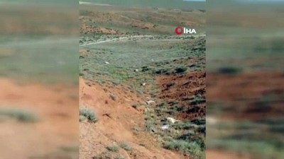 kurban bayrami -  Yozgat’ta kurtların saldırısı sonucu 60 kurbanlık koyun telef oldu Videosu
