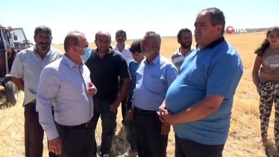 tarim arazisi -  - Aksaray’da 100 dekarlık tarladaki arpa ve buğday yanarak kül oldu Videosu