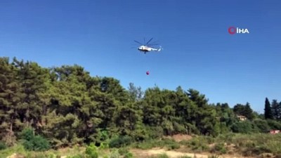 orman arazisi -  Alanya'da çıkan yangında 1 hektarlık orman arazisi küle döndü Videosu