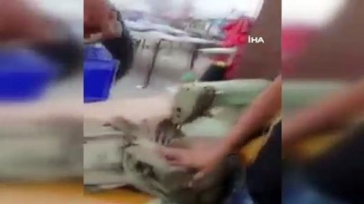 halk pazari -  - Bağdat’ta patlama: 7 yaralı Videosu