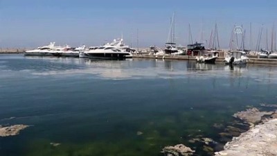 feribot iskelesi - YALOVA - Müsilaj temizleme çalışmaları devam ediyor Videosu