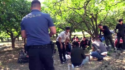 ADANA - Portakal bahçesinde yakalanan düzensiz göçmenlere vatandaşlar yiyecek ikram etti