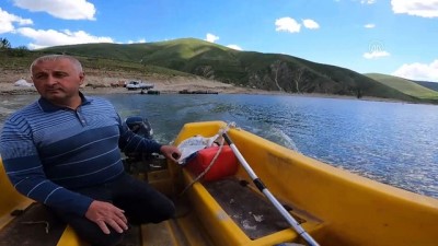 su urunleri - ERZURUM - Denizi olmayan Erzurum'da üretilen alabalıklar Karadeniz'de alıcı buluyor Videosu