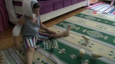 kucuk cocuk -  Köpeğin saldırısına uğrayan 3,5 yaşındaki çocuk, ölümden döndü Videosu