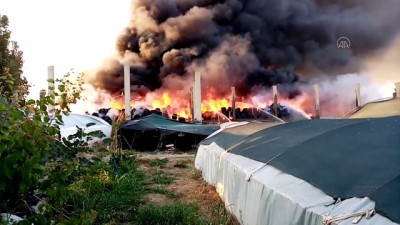 ADANA - Geri dönüşüm tesisinin bahçesinde çıkan yangına müdahale ediliyor (3)