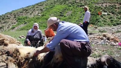 haziran ayi -  Huzur ortamının sağlandığı yaylalarda türküler yankılanıyor Videosu