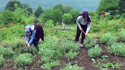 organik pazari -  Kırsalın girişimci kadınları, bu projeyle daha da güçlendi Videosu