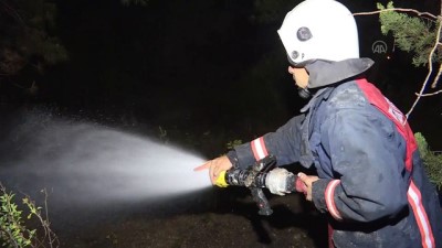 MERSİN - Çıkan orman yangını söndürüldü