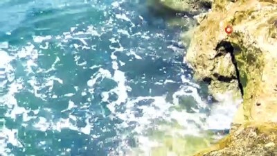 deniz kirliligi -  Akdeniz'de salya oluşumu beklenmiyor Videosu