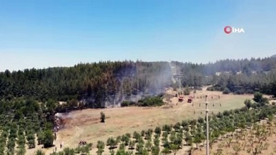  Arıcı hem kendini, hem de ormanı yaktı