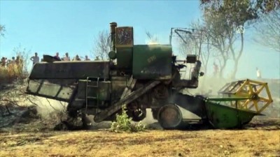 OSMANİYE - Tarlada çıkan yangın buğday ekili alana zarar verdi