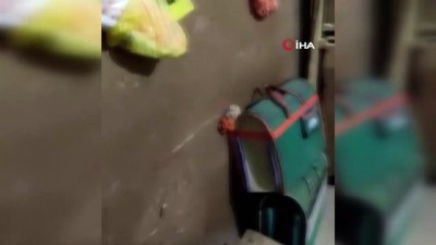  Horoz dövüşü üzerinden kumar oynayanlara operasyon