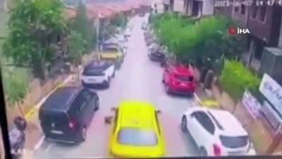 taksi soforu -  İstanbul’da feci olay: Taksici köpeği ezip kaçtı Videosu