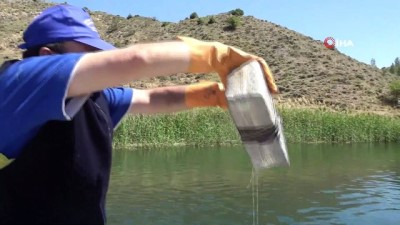 su urunleri -  Kırıkkale'de iç sulardaki canlıların yaşam alanları korunuyor Videosu