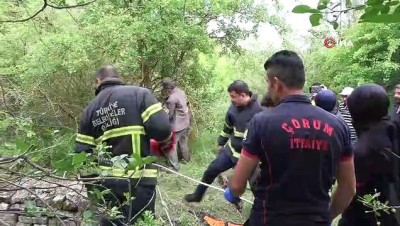 ormana -  Kuyuya düşen kurt itfaiye ekiplerini harekete geçirdi Videosu