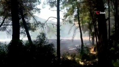 aniz yangini -  Osmaniye'de orman yangını Videosu