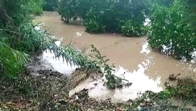 siddetli yagis - ADANA - Şiddetli yağış yaşamı olumsuz etkiledi Videosu