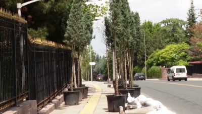 ANKARA - Cumhurbaşkanlığı Çankaya Köşkü'nün çevresi ağaçlandırılıyor