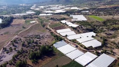 karya - BİLECİK - Seralarda salatalık hasadı başladı Videosu