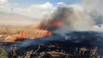 GAZİANTEP - 120 dönüm buğday ekili alan yandı