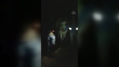 keci - SİVAS - Arazide bitkin bulunan yaban keçisi at sırtında taşındı Videosu