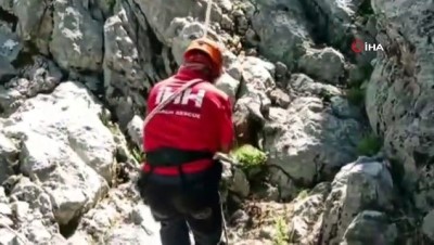 kayali -  10 gündür kayıp olan keçiler için kurtarma operasyonu Videosu
