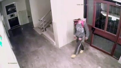 dizustu bilgisayar - ADANA - Apartman, iş yeri ve araçlardan hırsızlık yaptığı iddia edilen zanlı tutuklandı Videosu