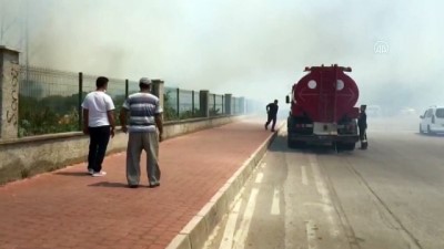zeytin agaci - ANTALYA -  Zeytinpark'ta ormanlık ve çalılık alanda yangın Videosu