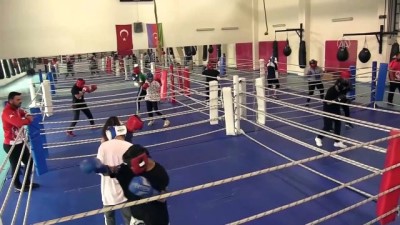 dunya sampiyonu - KASTAMONU - Yıldız erkek ve kadın boks milli takımları Avrupa Şampiyonası'ndan madalyalarla dönmeyi hedefliyor (2) Videosu