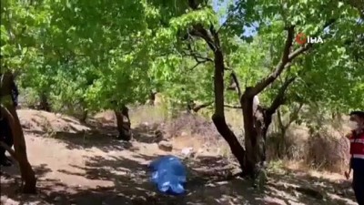 yasli adam -  Bahçesine kayısı toplamaya giden yaşlı adam ölü bulundu Videosu