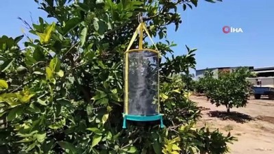 hayvancilik -  Kuşadası Belediyesi, 'Karasinekle Mücadele Timi' kurdu Videosu