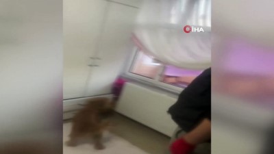 uyusturucu operasyonu -  İstanbul’da uyuşturucu operasyonu: 22 şüpheli yakalandı Videosu