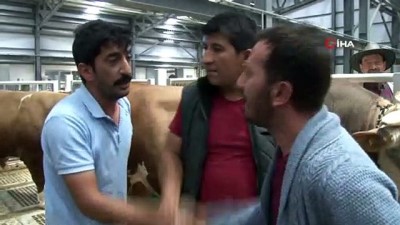 kurban pazari -  Kurban pazarlarında pazarlıkta el sıkışma geri döndü Videosu