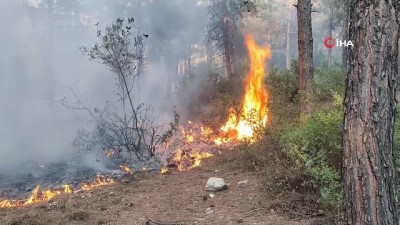  Orman kahramanları çalılarla yangının büyümesini engelledi